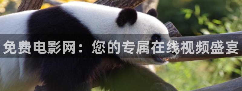 浮力日韩影院：免费电影网：您的专属在线视频盛宴