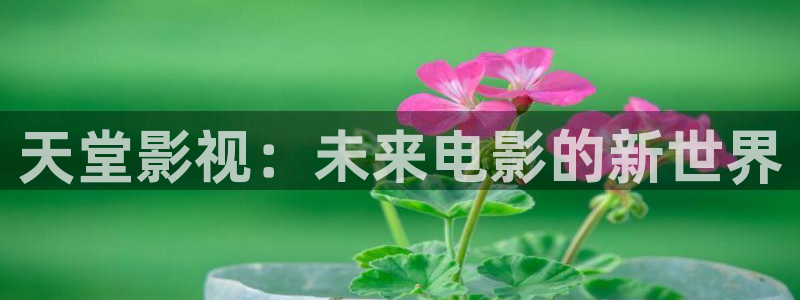 520980浮力影院：天堂影视：未来电影的新世界