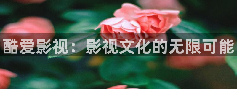 浮力影院日韩草草：酷爱影视：影视文化的无限可能