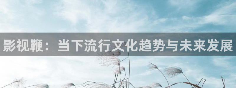 浮力影院无限资源：影视鞭：当下流行文化趋势与未来发展