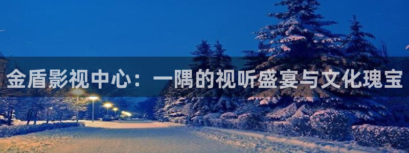 第一浮力影院：金盾影视中心：一隅的视听盛宴与文化瑰宝