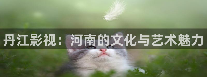 浮力影院50826最新地址：丹江影视：河南的文化与艺术魅力