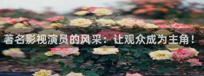 电影浮力影院：著名影视演员的风采：让观众成为主角！