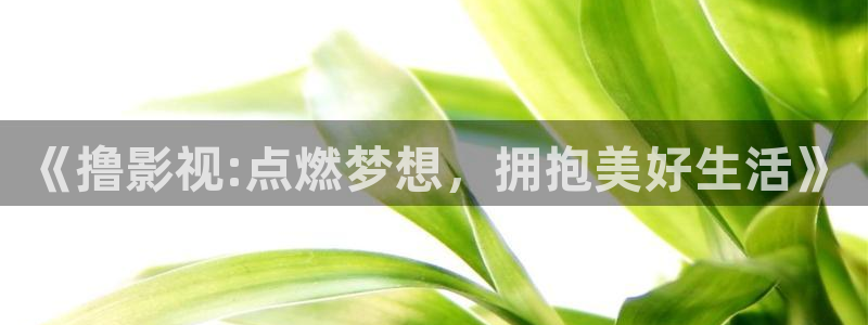 浮力影院最新地址发布：《撸影视:点燃梦想，拥抱美好生活》