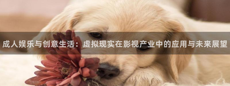 浮力影院欧美第二页：成人娱乐与创意生活：虚拟现实在影视产业中的应用与未来展望